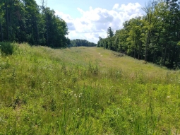 Reclaimed Mine Site with smooth grades, wild grass and plants