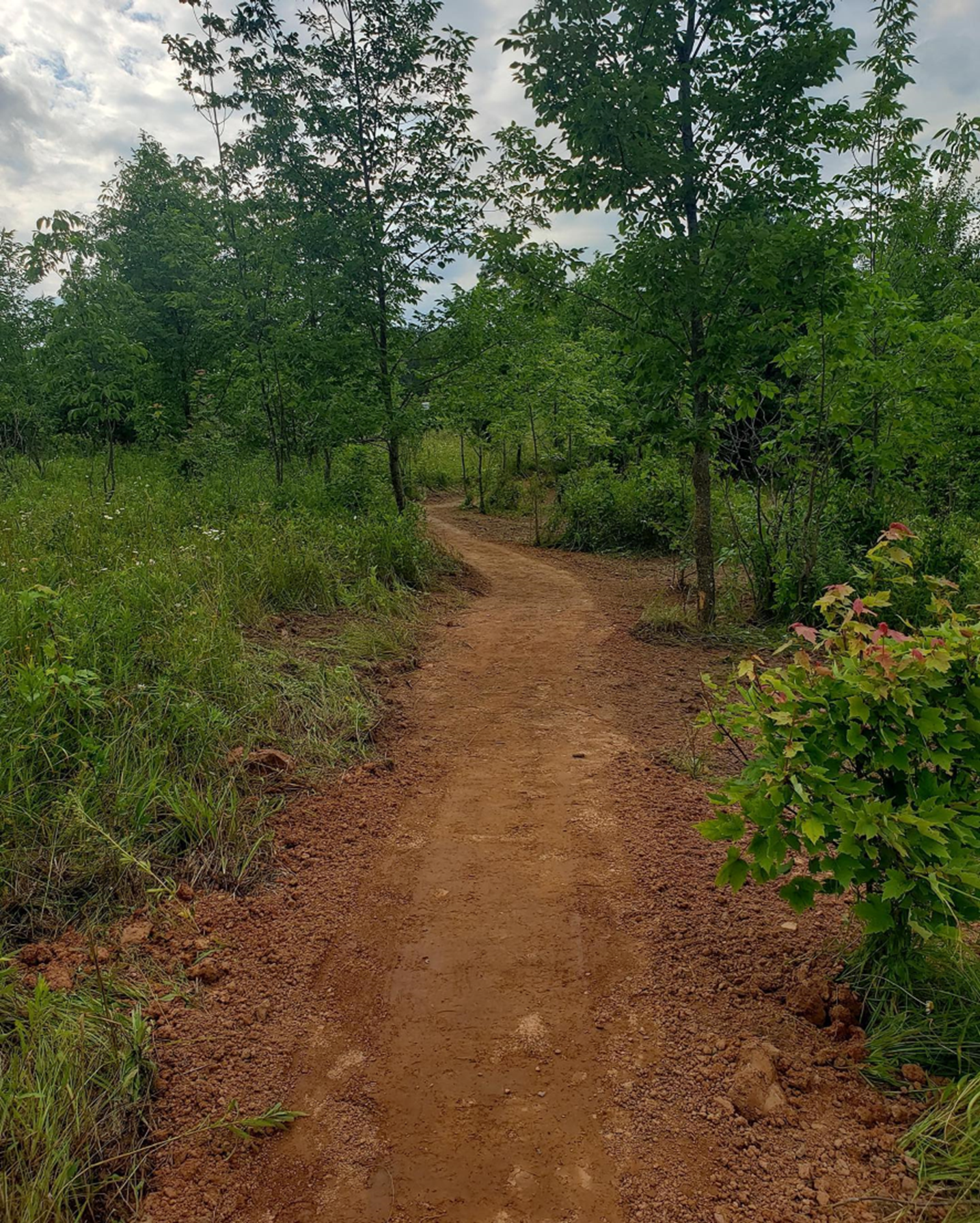 Trail Left Picture